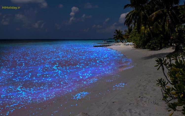 شگفتی های ساحل مالدیو در شب