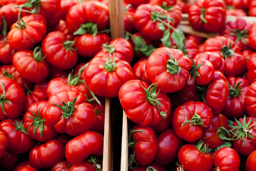 جشنواره ایتالیا