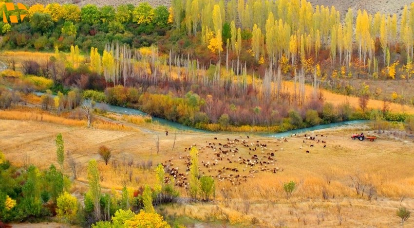تور طبیعت گردی