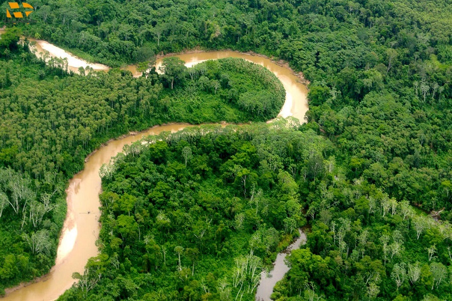 جنگل های ایران