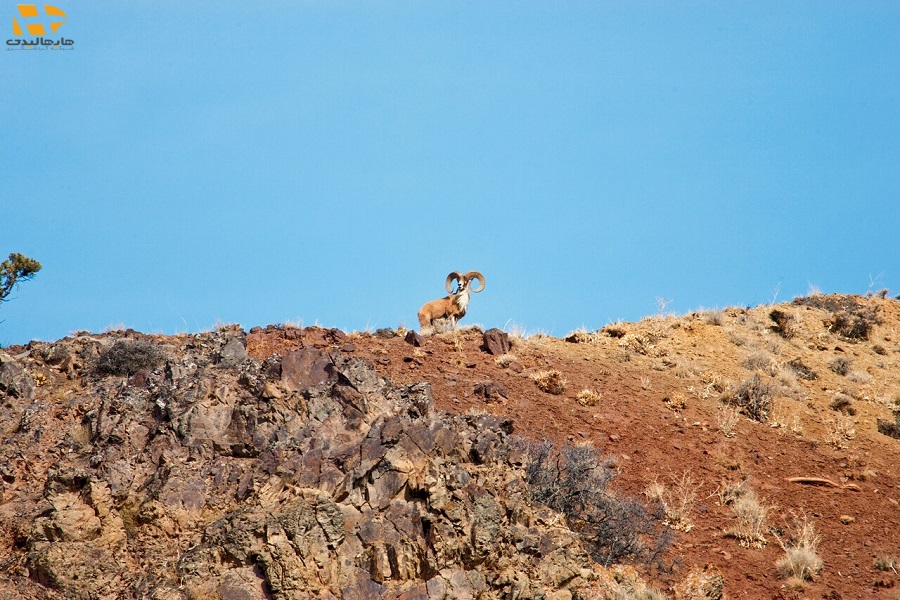 پارک های ملی ایران