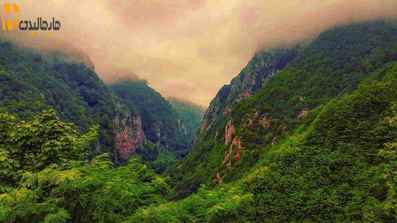 شمال کجا بریم؟