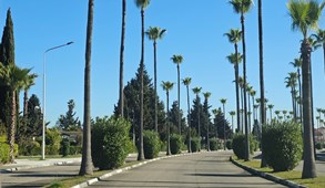 بهشت گمشده مازندران؛ راهنمای جامع اجاره ویلا در دریاکنار بابلسر برای نوروز