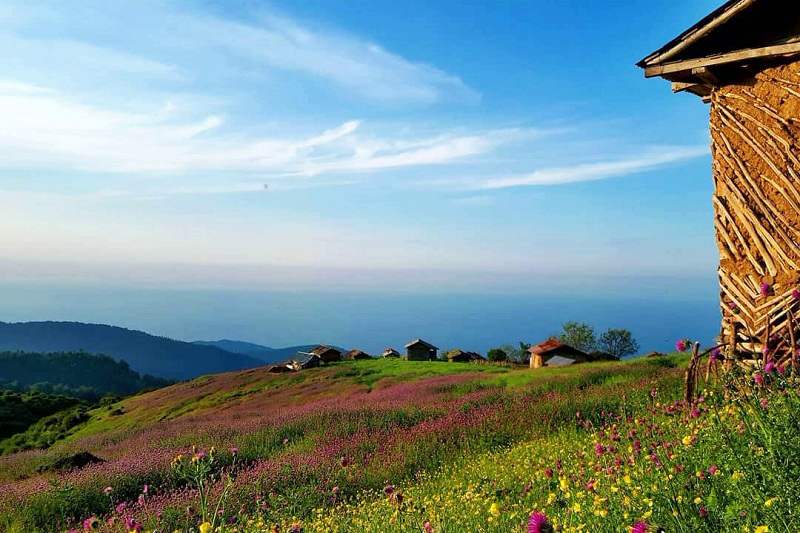 شمال کجا بریم؟