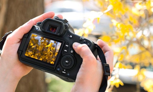 عکاسی طبیعت مشهد