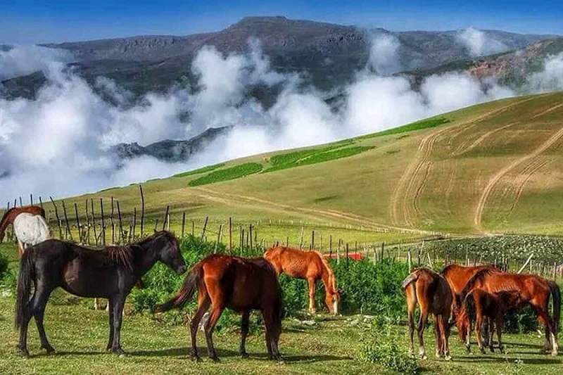 مقاصد محبوب شمال