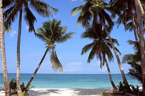 10 تا از بهترین جاهای دیدنی کیش