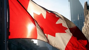 معرفی بهترین رشته های برای مهاجرت ( تحصیلی + کاری )