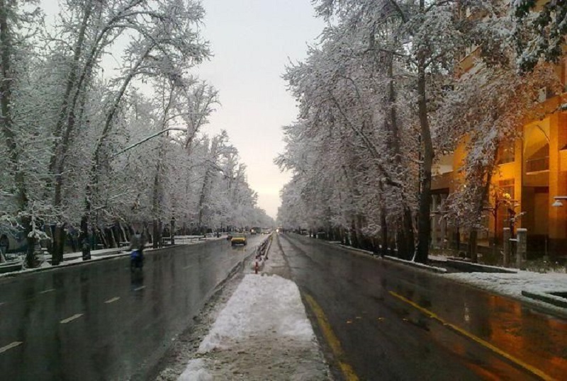 خیابان ولیعصر تهران