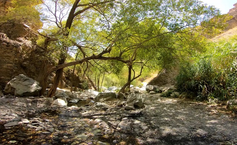 پیاده روی در داراباد